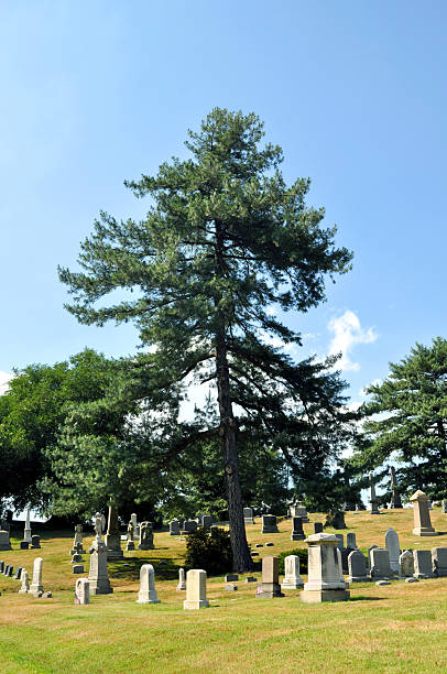 Greenwood Cemetery