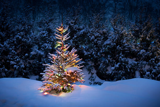 istock Christmas tree with fresh and fluffy snow 184850177