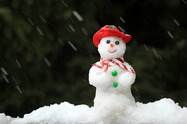 istock Snowman in a Snow Storm 184851157