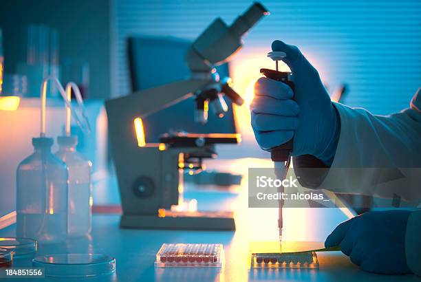 Lab Experiment Stock Photo - Download Image Now - Microscope, Plate, Scientist