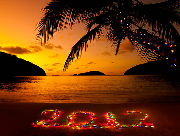 número de 2012 feita de luzes de natal no caribbean beach - christmas palm tree island christmas lights - fotografias e filmes do acervo