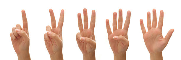 카운팅 여자 손을 - number 1 human hand sign index finger 뉴스 사진 이미지