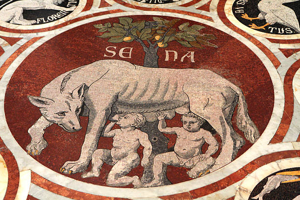 Wolf Suckling Romulus and Remus, Siena Duomo, Tuscany, Italy "A She-wolf suckles the twins Romulus and Remus,14th century tile mosaic, Siena, Italy.    According to legend, Siena was founded by Sienus, son of Remus.  The tile mosaic, which is set into the floor of Sienaaas Duomo (or cathdral), dates from circa 1373." circa 14th century photos stock pictures, royalty-free photos & images