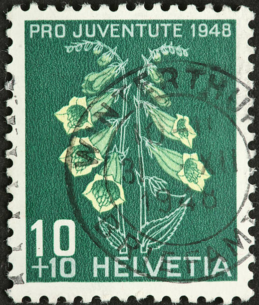 istock small spotted yellow flower on an old Swiss postage stamp 184852946