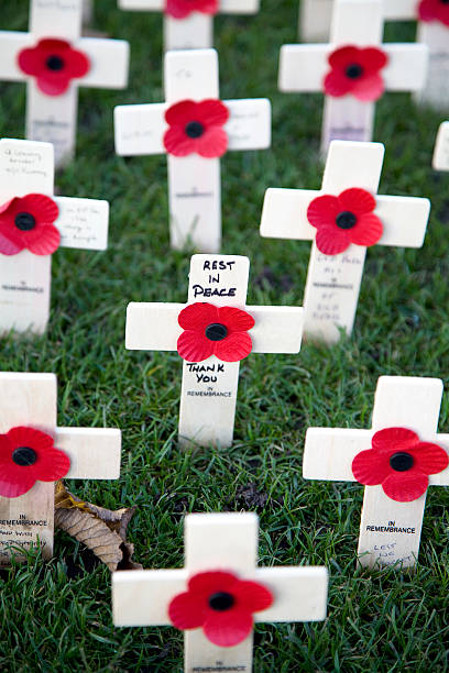 istock Field of Remembrance 184853166