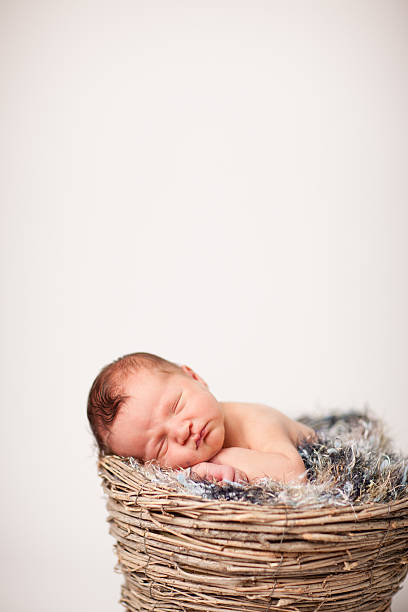 Newborn Baby Boy Sleeping Peacefully in Basket, with Copy Space