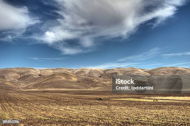 Farmland In Rural California Stock Photo - Download Image Now - Agricultural Field, Agriculture, Backgrounds
