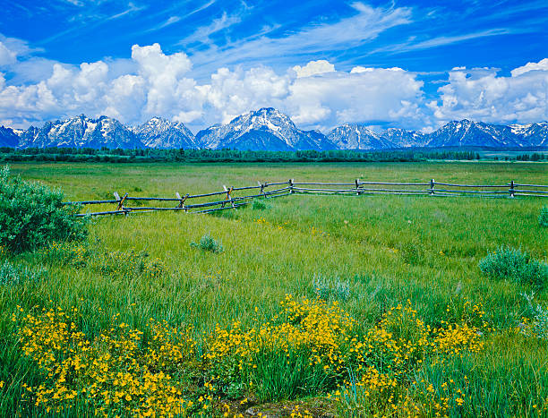 istock Grand Teton National Park 184853762