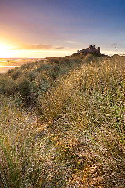 nascer do sol sobre as dunas de castelo de bamburgh, northumberland, inglaterra - bamburgh beach imagens e fotografias de stock