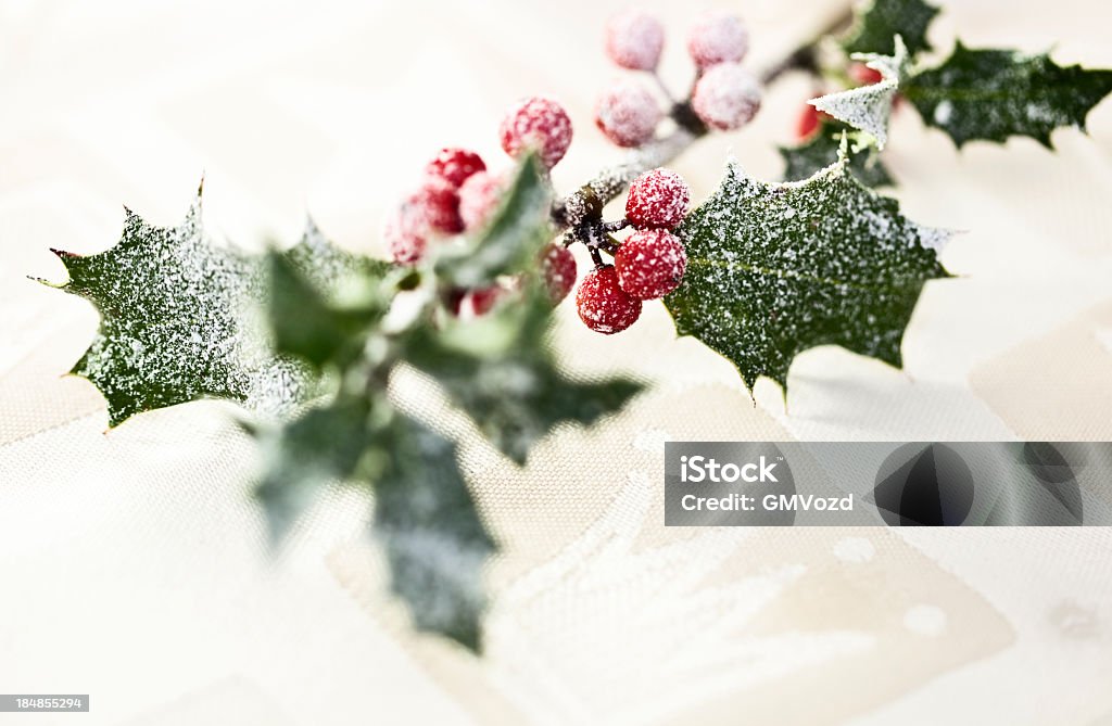 Christmas Holly - Lizenzfrei Stechpalme Stock-Foto