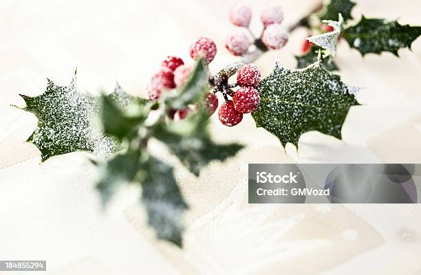 Christmas Holly Stock Photo - Download Image Now - Holly, Snow, Berry Fruit