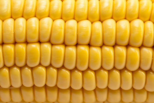 Close-up of fresh corn