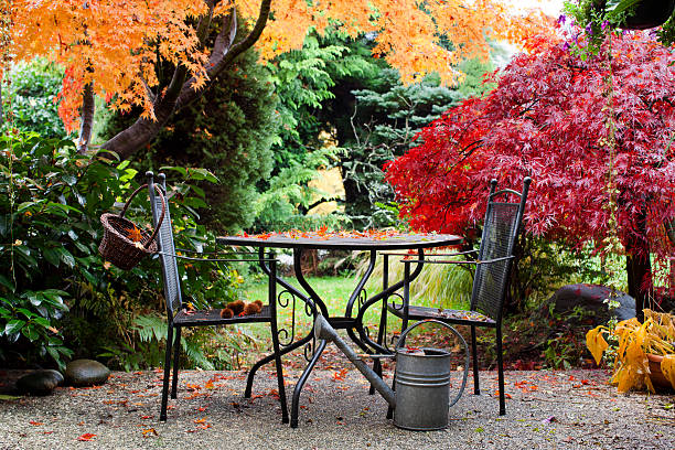 Garden furniture in a small garden with colorful fall foliage.