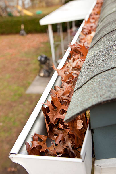 istock Leaf clogged rain gutter on housefull of brown leafs 184856064