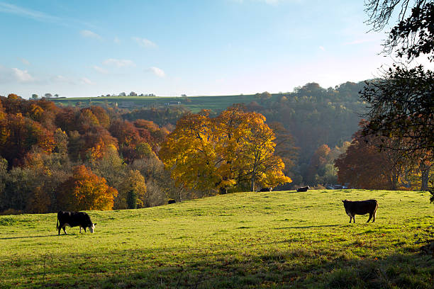 istock Scenic Cotswolds - Autumn 184856084