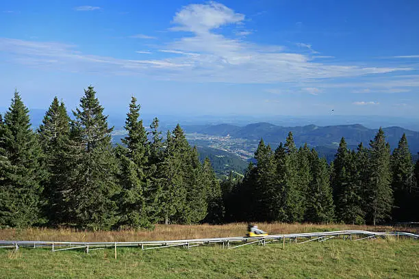 Summer alpine coaster in Rogla, Slovenia.