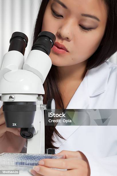 Asian Mujer Mirando A Través De Un Microscopio Foto de stock y más banco de imágenes de Adulto - Adulto, Analizar, Asistencia sanitaria y medicina