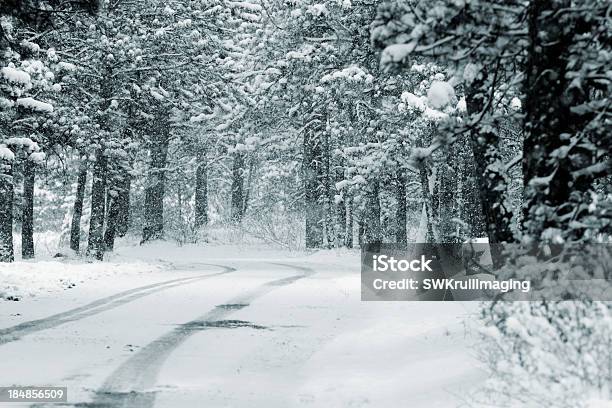 Neve Forte - Fotografie stock e altre immagini di Colorado - Colorado, Strada, Albero