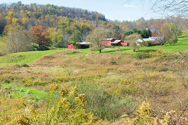 istock West Virginia countryside 184856553
