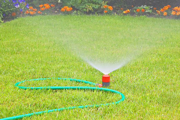 istock Lawn sprinkler # 9 XXL 184856865