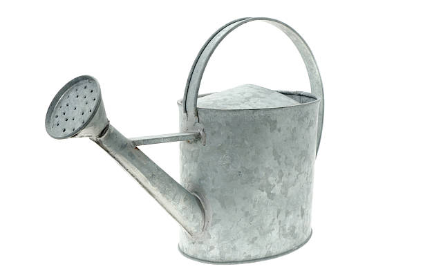 istock Galvanised metal watering can 184857123