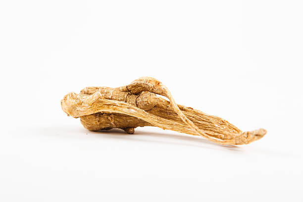 ginseng - ginseng isolated root herbal medicine fotografías e imágenes de stock