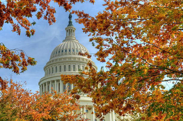 capitolio de washington dc, en el otoño - monumento fotografías e imágenes de stock