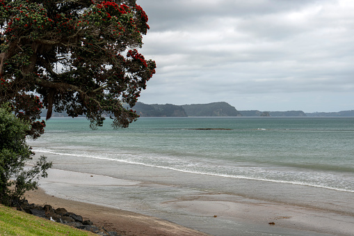 Red Beach coastline in Auckland, New Zealand