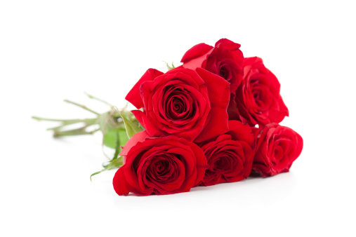Red Roses bunch laying down on white background. Soft focus.