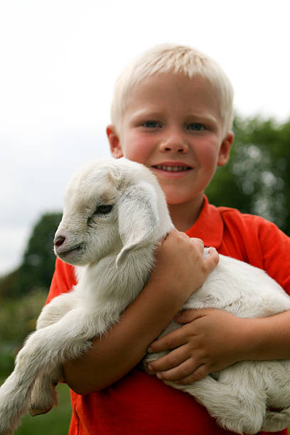 Streichelzoo für Kinder – Foto