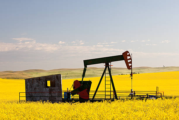 pumpjack in 카놀라 - oil pump oil alberta canola 뉴스 사진 이미지