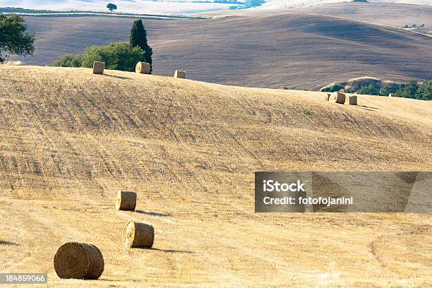 Toskana Landschaft Stockfoto und mehr Bilder von Anhöhe - Anhöhe, Ausgedörrt, Ernten