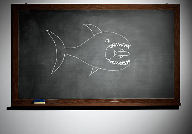 istock Big and little fish drawn in chalk on school board 184859319
