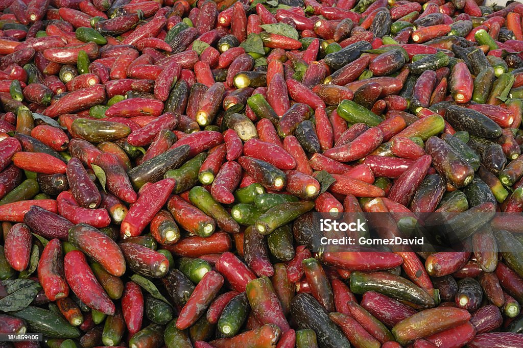 Close-up de colhidas de pimenta jalapeño - Foto de stock de Agricultura royalty-free