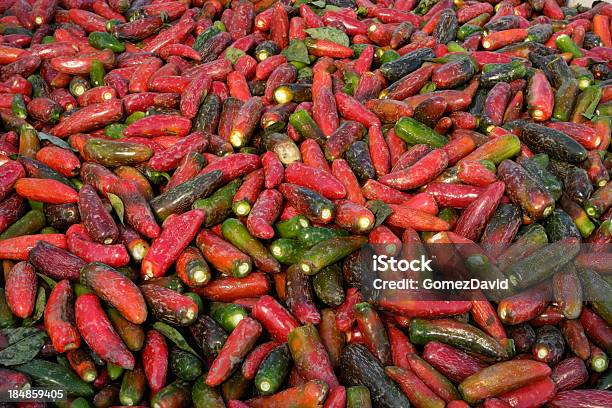 Closeup De Colhidas Chili Peppers Jalapeno - Fotografias de stock e mais imagens de Agricultura - Agricultura, Alimentação Saudável, Ao Ar Livre