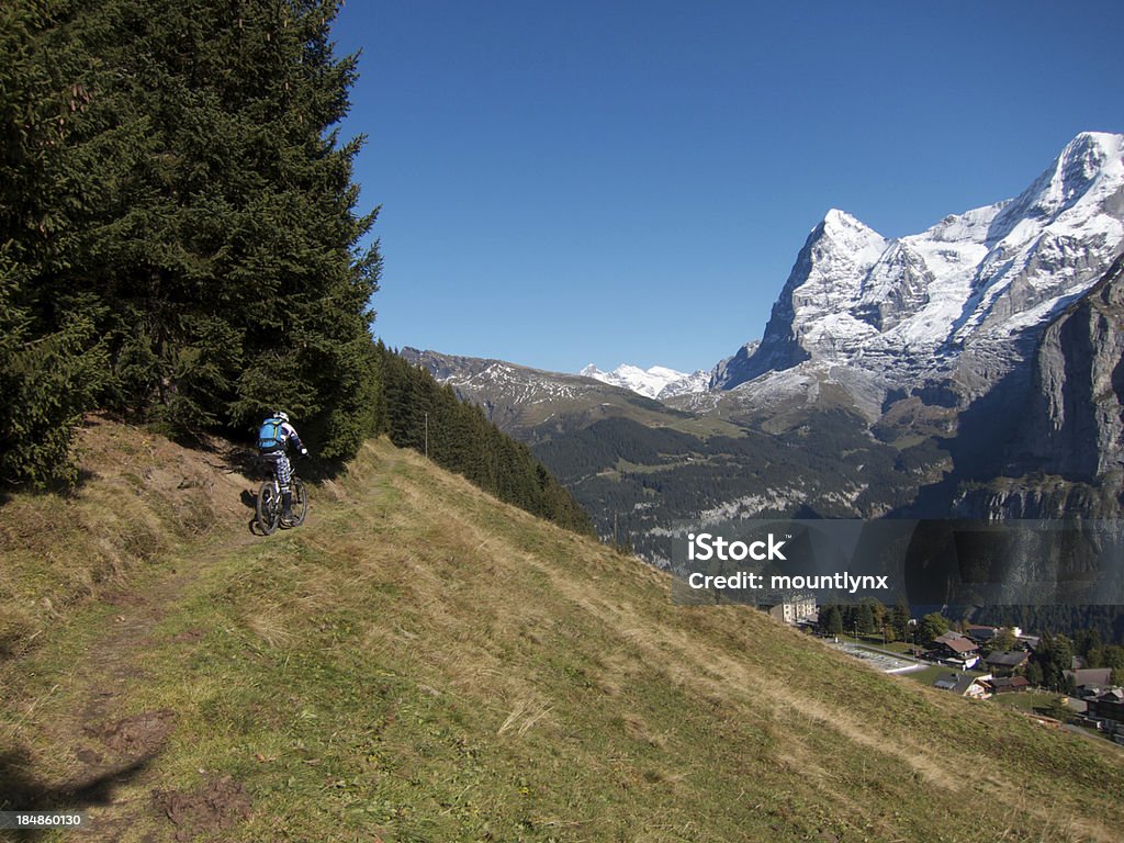 Mountain biking Eiger MTB Tour: Mountain View Trail Autumn Stock Photo