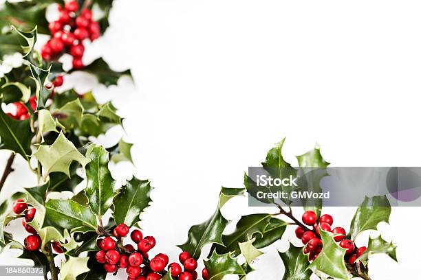 Christmas Holly Decoration Stock Photo - Download Image Now - Berry, Border - Frame, Christmas