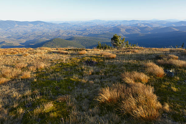 istock The mountain panorama. Altay motives 184860547