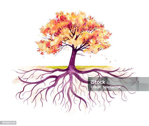 Fall Tree With A Strong Root System Stock Illustration - Download Image Now - Tree, Root, Origins