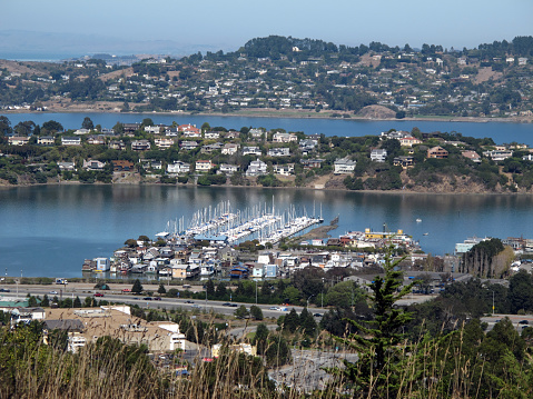 Marin County View - Vista of Tiburon and Belevedere from Sausalito California