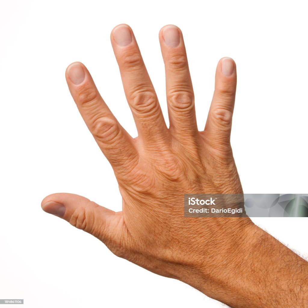 Retro aperto a mano maschio cinque dita, su sfondo bianco - Foto stock royalty-free di Adulto