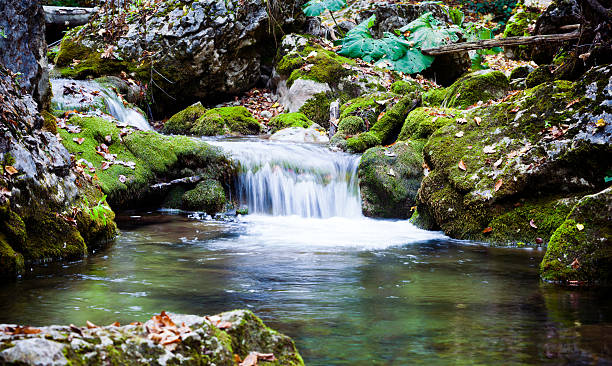 crimeia terra - letchworth garden city imagens e fotografias de stock