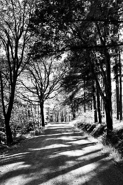 Pathway in Tuscany.Grain added