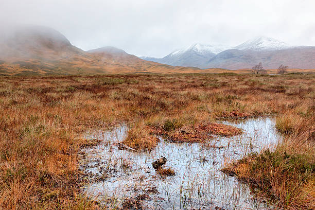 istock Rannoch Moor 184861635