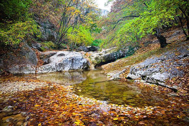 crimeia lago - letchworth garden city imagens e fotografias de stock