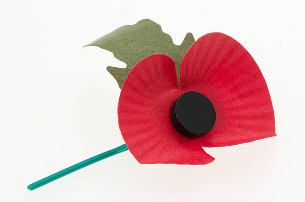 istock Worn Remembrance day poppy lying on its side 184862122