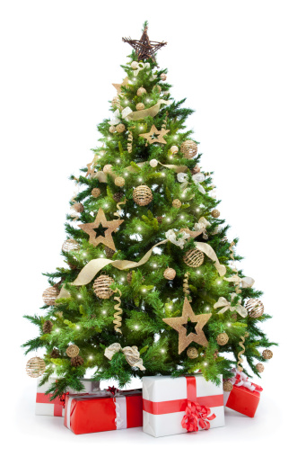 Decorative Christmas tree with hanging decoration on it. A Christmas tree is a decorated tree, usually an evergreen conifer, such as a spruce, pine or fir, or an artificial tree of similar appearance, associated with the celebration of Christmas.