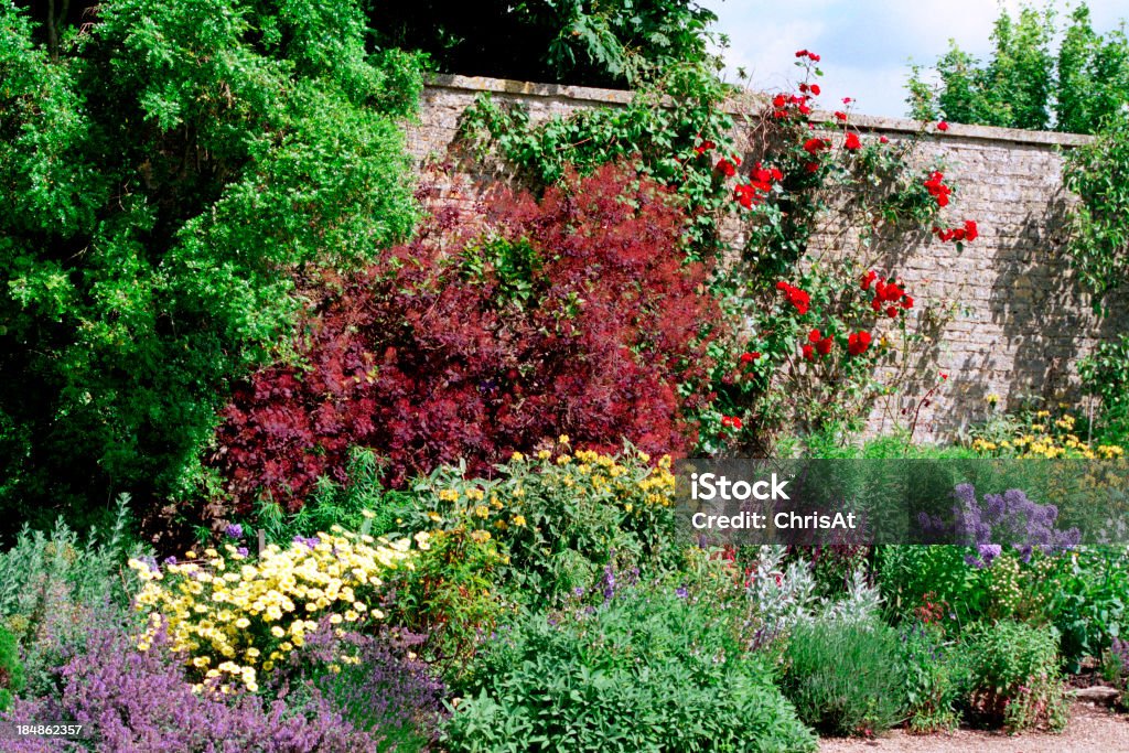 벽면 정원 - 로열티 프리 잉글랜드 스톡 사진