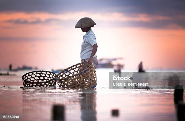 Seaweed Farmer Stock Photo - Download Image Now - Nusa Dua, Indonesia, Beach