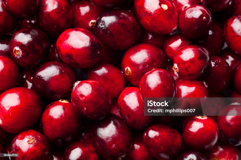 Cranberry - Photo de Canneberge libre de droits